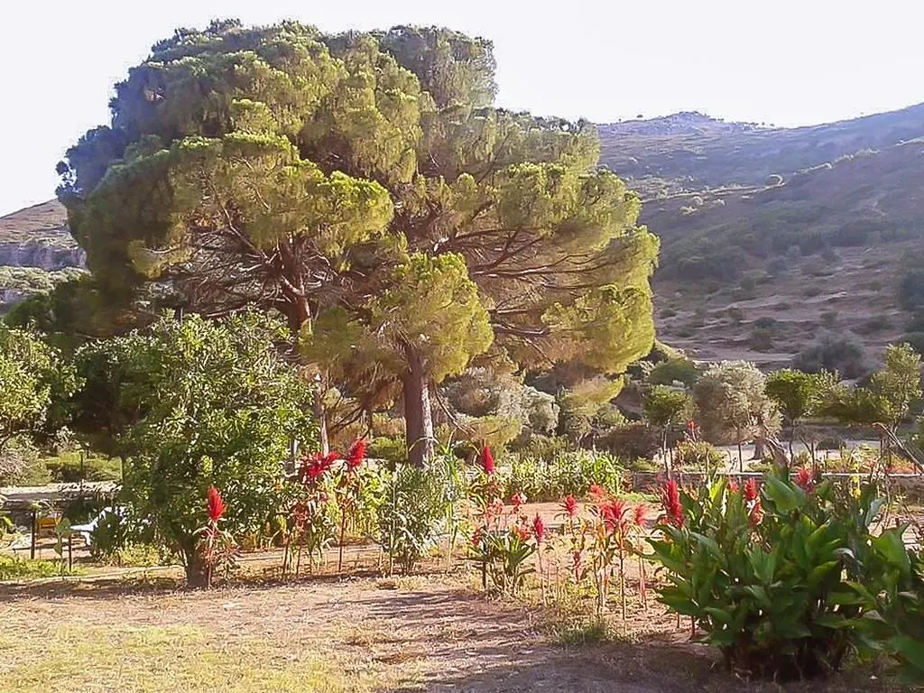 Campeggio Kocabahce Glamping Hotel Marmaris Turchia